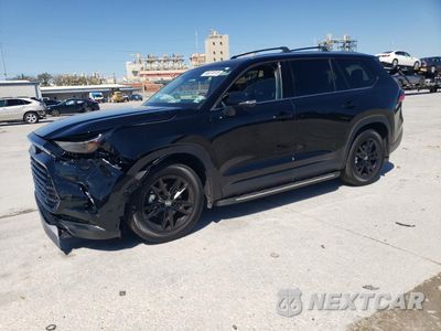 2025 TOYOTA GRAND HIGHLANDER LE 5TDAAAB55SS074949 - główne zdjęcie licytacji z USA - miniatura