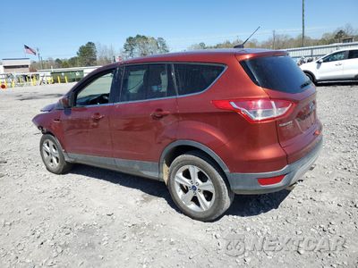 Drugie zdjęcie samochodu z przodu: 2015 FORD ESCAPE SE VIN:1FMCU0GX2FUC73524 - miniatura