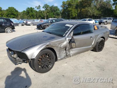 2009 FORD MUSTANG 1ZVHT80N295106922 - główne zdjęcie licytacji z USA - miniatura