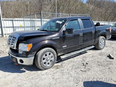 2013 FORD F150 SUPERCREW 1FTFW1ET3DFA44191 - główne zdjęcie licytacji z USA - miniatura