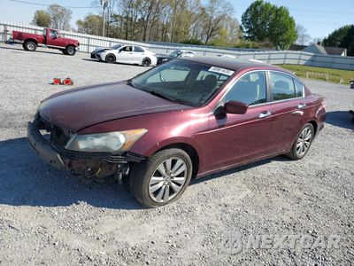 2012 HONDA ACCORD EXL 1HGCP3F82CA037395 - główne zdjęcie licytacji z USA - miniatura