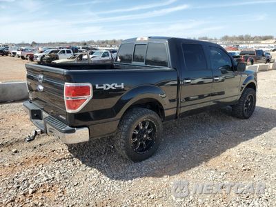 Trzecie zdjęcie samochodu z tyłu: 2014 FORD F150 SUPERCREW VIN:1FTFW1EFXEKE52089 - miniatura