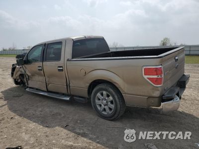 Drugie zdjęcie samochodu z przodu: 2013 FORD F150 SUPERCREW VIN:1FTFW1CT9DKD68613 - miniatura
