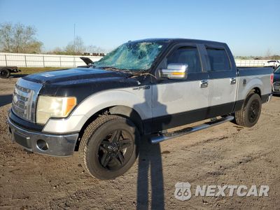 2009 FORD F150 SUPERCREW 1FTRW12849FA12273 - główne zdjęcie licytacji z USA - miniatura