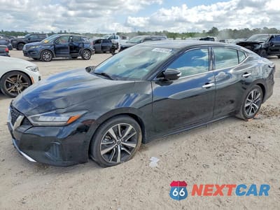 2023 NISSAN MAXIMA 3.5 SV 1N4AA6CV5PC511939 - główne zdjęcie licytacji z USA - miniatura