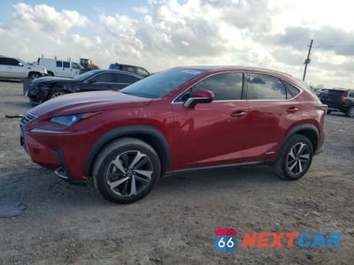 2021 LEXUS NX 300H BASE JTJGJRDZ4M5014403 - główne zdjęcie licytacji z USA - miniatura