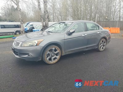 2010 HONDA ACCORD EXL 5KBCP3F8XAB004987 - główne zdjęcie licytacji z USA - miniatura