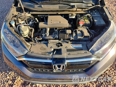 Zdjęcie 12 z 14 samochodu: 2020 HONDA CR-V LX VIN:5J6RW1H22LA010443 - miniatura