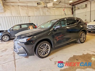 2024 LEXUS NX 350H LUXURY 2T2HKCEZ5RC026159 - główne zdjęcie licytacji z USA - miniatura