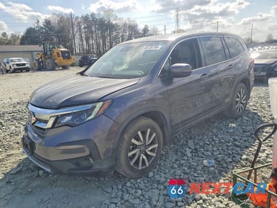 2020 HONDA PILOT EXL 5FNYF5H51LB020696 - główne zdjęcie licytacji z USA - miniatura