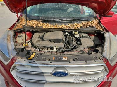 Zdjęcie 12 z 12 samochodu: 2018 FORD ESCAPE SE VIN:1FMCU0GD6JUB71755 - miniatura