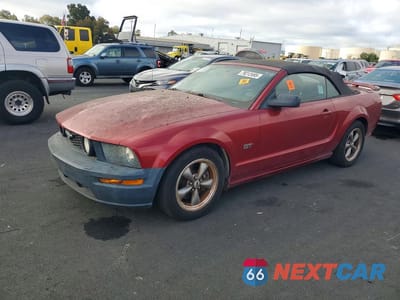 2006 FORD MUSTANG GT 1ZVHT85H065129971 - główne zdjęcie licytacji z USA - miniatura