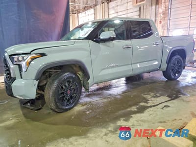 2023 TOYOTA TUNDRA LIMITED 5TFJA5DB5PX114622 - główne zdjęcie licytacji z USA - miniatura