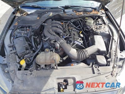 Zdjęcie 11 z 12 samochodu: 2016 FORD MUSTANG VIN:1FA6P8AM5G5335926 - miniatura