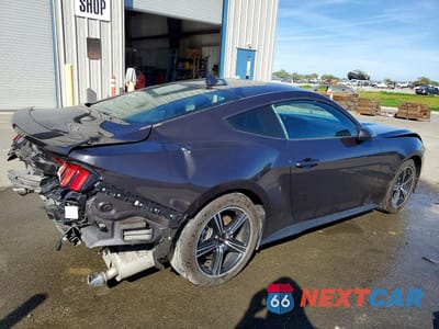 Trzecie zdjęcie samochodu z tyłu: 2024 FORD MUSTANG VIN:1FA6P8TH4R5130519 - miniatura