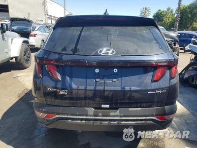 Zdjęcie 6 z 13 samochodu: 2024 HYUNDAI TUCSON HYBRID BLUE VIN:KM8JBCD10RU202728 - miniatura