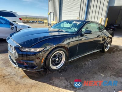 2024 FORD MUSTANG 1FA6P8TH5R5120792 - główne zdjęcie licytacji z USA - miniatura