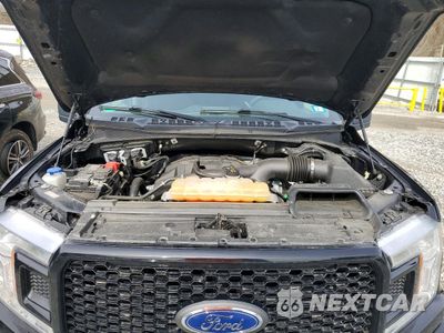 Zdjęcie 11 z 12 samochodu: 2018 FORD F150 CREW VIN:1FTEW1EP9JFC21529 - miniatura