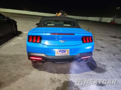 Zdjęcie 6 z 14 samochodu: 2024 FORD MUSTANG VIN:1FAGP8UH3R5119997 - miniatura