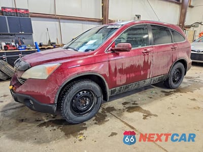 2009 HONDA CR-V EXL 5J6RE487X9L805415 - główne zdjęcie licytacji z USA - miniatura