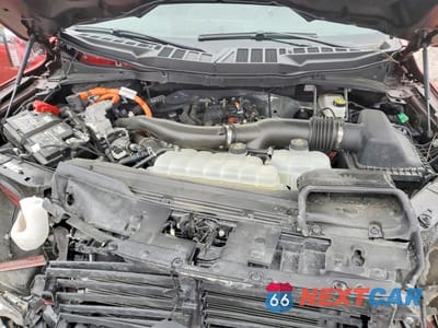 Zdjęcie 11 z 13 samochodu: 2025 FORD F150 XLT VIN:1FTFW3LD4SFA57357 - miniatura
