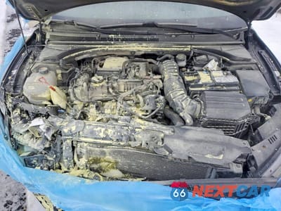 Zdjęcie 11 z 13 samochodu: 2019 HYUNDAI VELOSTER N TURBO 3DR VIN:KMHT36AH9KU001151 - miniatura