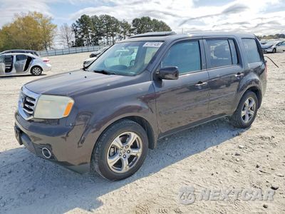 2013 HONDA PILOT EXL 5FNYF3H59DB041771 - główne zdjęcie licytacji z USA - miniatura