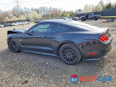 Drugie zdjęcie samochodu z przodu: 2015 FORD MUSTANG GT VIN:1FA6P8CF9F5342360 - miniatura