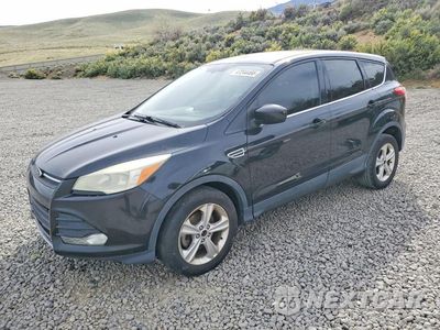 2014 FORD ESCAPE SE 1FMCU0GX8EUE23487 - główne zdjęcie licytacji z USA - miniatura