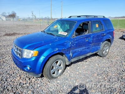 2011 FORD ESCAPE XLT 1FMCU0DG3BKA06953 - główne zdjęcie licytacji z USA - miniatura