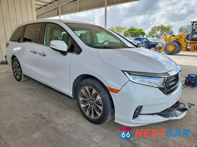 Czwarte zdjęcie samochodu z boku: 2024 HONDA ODYSSEY EXL VIN:5FNRL6H65RB015053 - miniatura