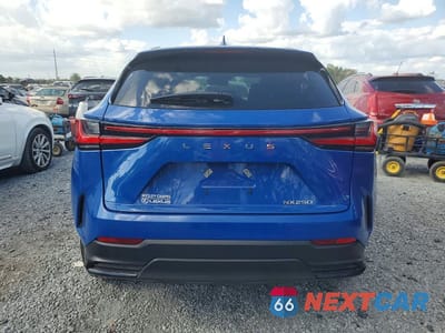 Zdjęcie 6 z 12 samochodu: 2025 LEXUS NX 250 BASE VIN:2T2ADCAZ9SC017570 - miniatura