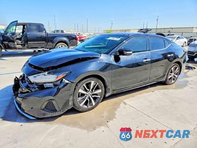 2020 NISS MAXIMA SV 1N4AA6CV7LC365974 - główne zdjęcie licytacji z USA - miniatura