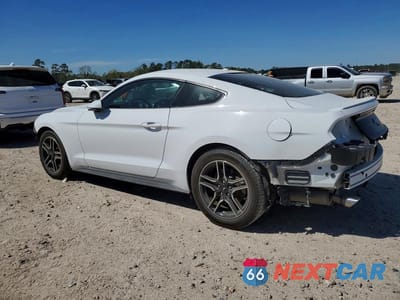 Drugie zdjęcie samochodu z przodu: 2019 FORD MUSTANG VIN:1FA6P8TH7K5172561 - miniatura