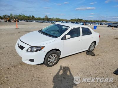 2009 TOYOTA COROLLA LE JTDBL40E699073014 - główne zdjęcie licytacji z USA - miniatura
