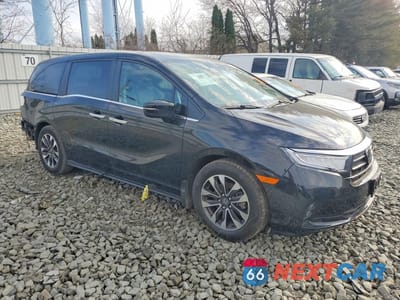 Czwarte zdjęcie samochodu z boku: 2024 HONDA ODYSSEY EXL VIN:5FNRL6H64RB040994 - miniatura