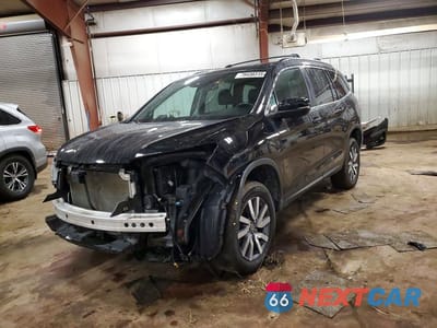 2019 HONDA PILOT EXL 5FNYF6H52KB066932 - główne zdjęcie licytacji z USA - miniatura