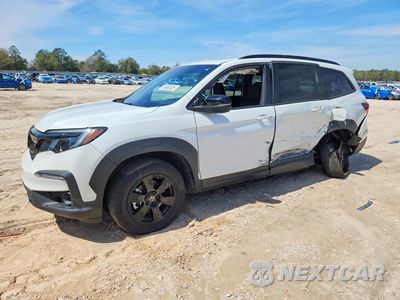 2022 HONDA PILOT TRAILSPORT 5FNYF6H80NB057001 - główne zdjęcie licytacji z USA - miniatura