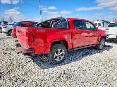 Trzecie zdjęcie samochodu z tyłu: 2019 CHEVROLET COLORADO Z71 VIN:1GCGTDEN8K1301386 - miniatura
