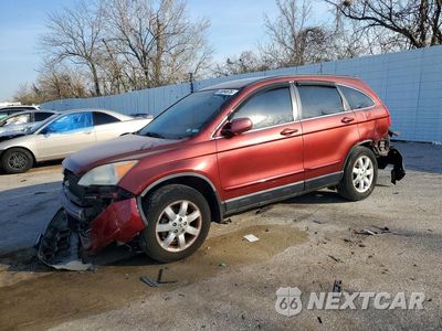 2008 HONDA CR-V EXL JHLRE48798C036185 - główne zdjęcie licytacji z USA - miniatura