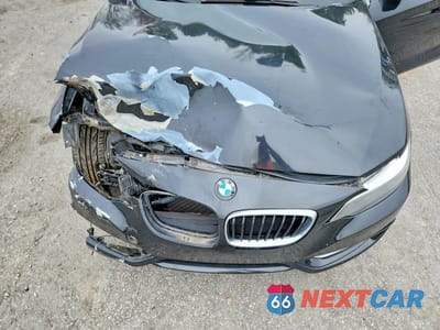 Zdjęcie 11 z 12 samochodu: 2016 BMW 228I VIN:WBA1F9C57GV742548 - miniatura
