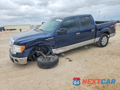 2013 FORD F150 SUPERCREW 1FTFW1EF4DKE02299 - główne zdjęcie licytacji z USA - miniatura