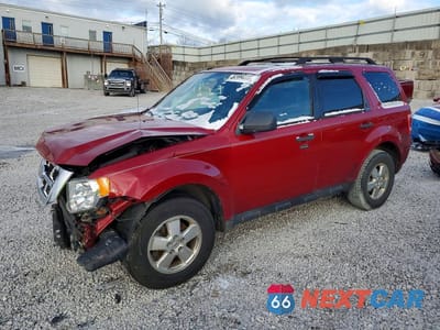 2011 FORD ESCAPE XLT 1FMCU0D77BKA19334 - główne zdjęcie licytacji z USA - miniatura