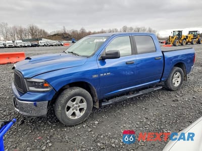 2009 DODGE RAM 1500 1D3HV13T19S705804 - główne zdjęcie licytacji z USA - miniatura