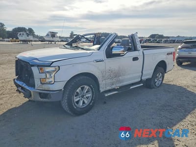2016 FORD F150 1FTMF1EF1GKD69743 - główne zdjęcie licytacji z USA - miniatura