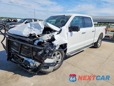 2024 FORD F150 XLT 1FTFW3L50RKF53914 - główne zdjęcie licytacji z USA - miniatura