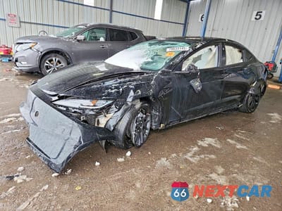 2024 TESLA MODEL 3 5YJ3E1EA3RF867882 - główne zdjęcie licytacji z USA - miniatura