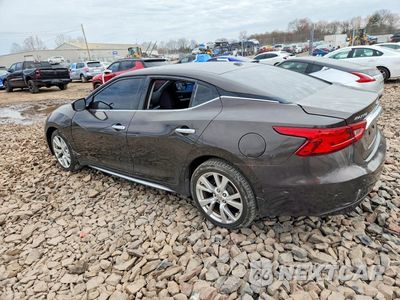 Drugie zdjęcie samochodu z przodu: 2016 NISSAN MAXIMA 3.5 S VIN:1N4AA6AP1GC437603 - miniatura