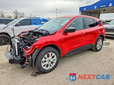 2024 FORD ESCAPE ACTIVE 1FMCU9GN0RUB49209 - główne zdjęcie licytacji z USA - miniatura