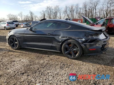 Drugie zdjęcie samochodu z przodu: 2021 FORD MUSTANG VIN:1FA6P8TH7M5156489 - miniatura